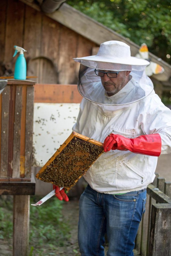 Pure Honey filosofie: eenvoud, eerlijkheid en respect voor natuur als kernwaarden van het merk
