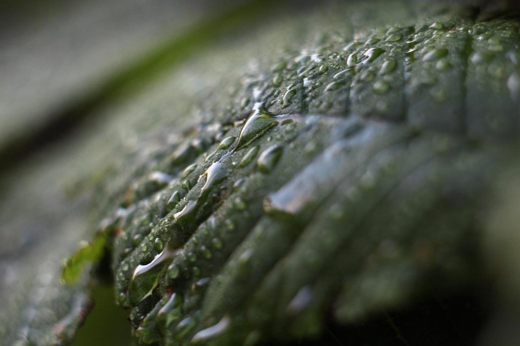 Vochtbestrijding maatregelen tegen schimmel, vochtkringen en condensatie in huis voor een droog binnenklimaat